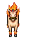 Rapidash
