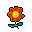 Desert Flower