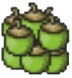 Green Apricorn