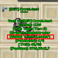 Visual Guild In-game