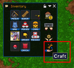 Acessando o Craft