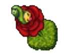 Decoração Budew