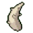 Pinsir Horn