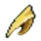 Bird Beaks
