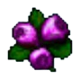 Venusaur Flower