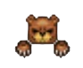 bearoutfit