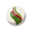 Chesnaughtite