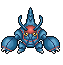 Heracross