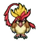 Pidgeot