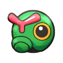 caterpie