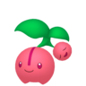 Cherubi