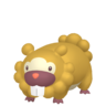 Shiny Bidoof