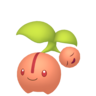 Shiny Cherubi