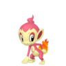 Shiny Chimchar