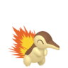 Shiny Cyndaquil