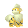 Shiny Growlithe