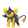 Shiny Luxio
