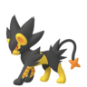 Shiny Luxray
