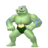 Shiny Machoke