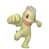 Shiny Machop
