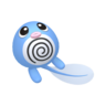 Shiny Poliwag