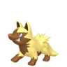 Shiny Poochyena