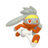 Shiny Raboot