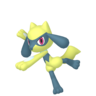 Shiny Riolu
