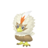 Shiny Rufflet