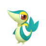 Shiny Snivy