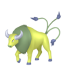 Shiny Tauros
