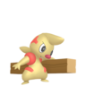 Shiny Timburr