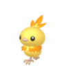 Shiny Torchic