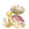 Shiny Torkoal
