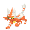 Shiny Torracat