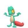 Shiny Treecko