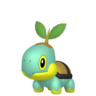 Shiny Turtwig