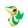 Snivy