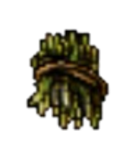 sugarcane